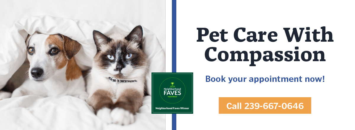 North Naples Veterinary Hospital